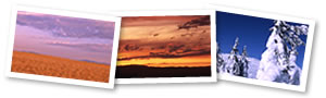 Gallery #02