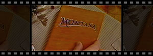 My Trip