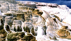 Logan Pass